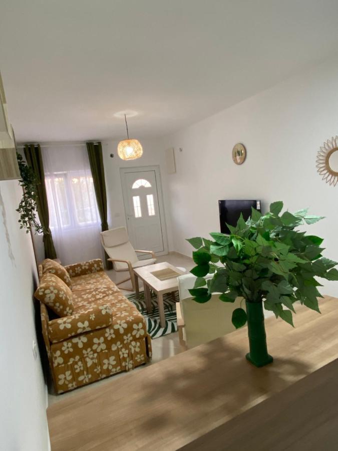 Kotor Apartman Green Sailor Exterior photo